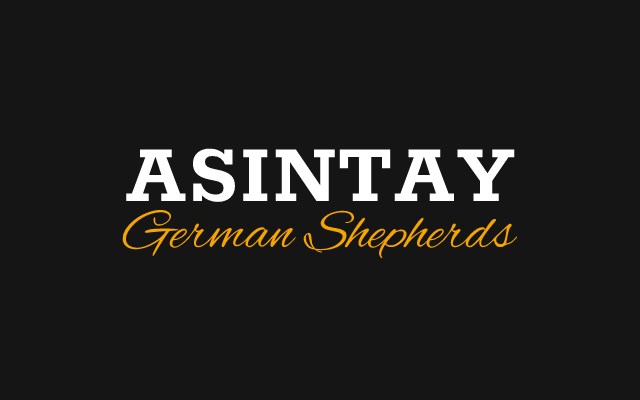 Asintay German Shepherds logo